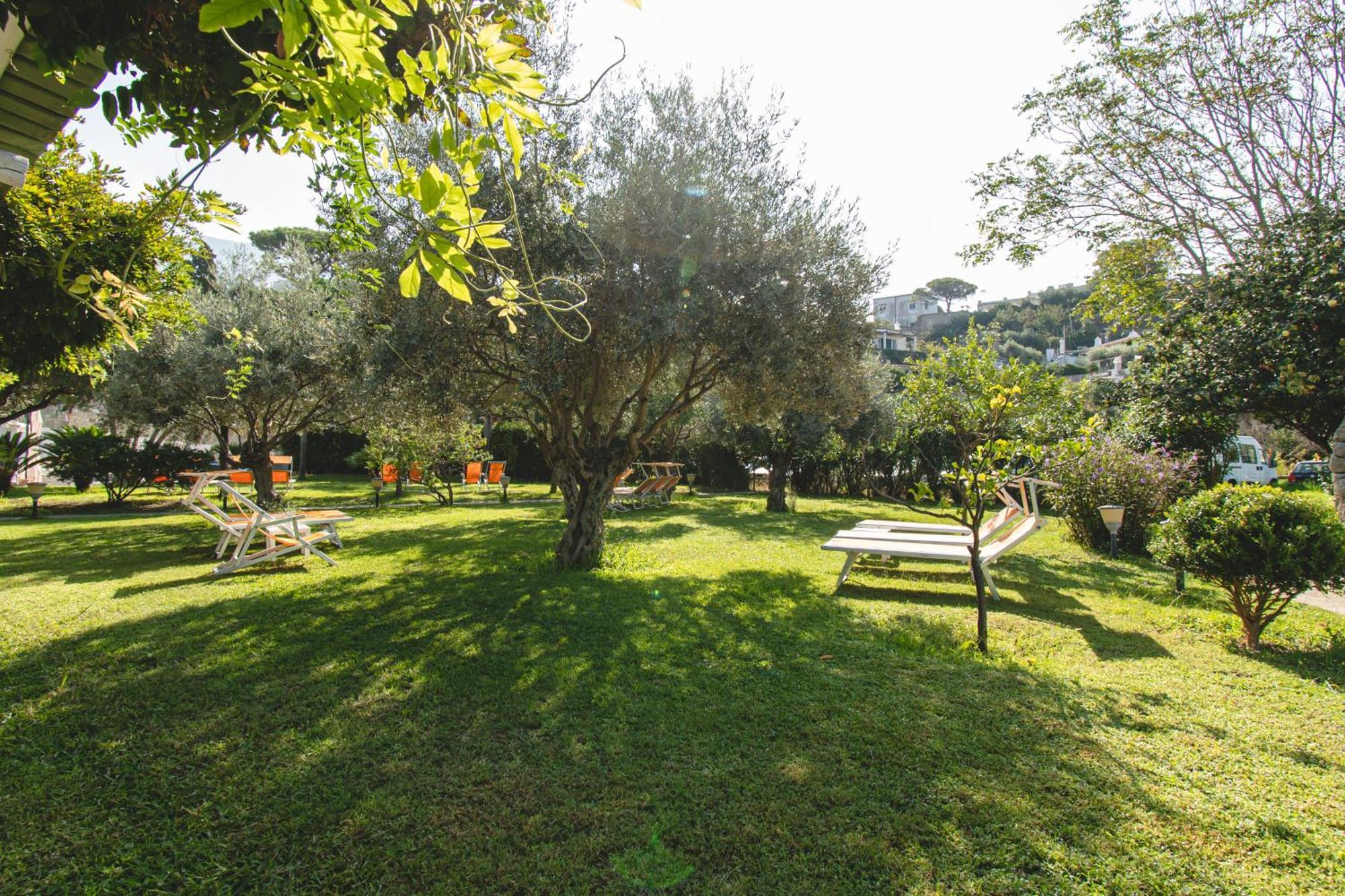 Hotel Park Victoria Forio di Ischia Dış mekan fotoğraf