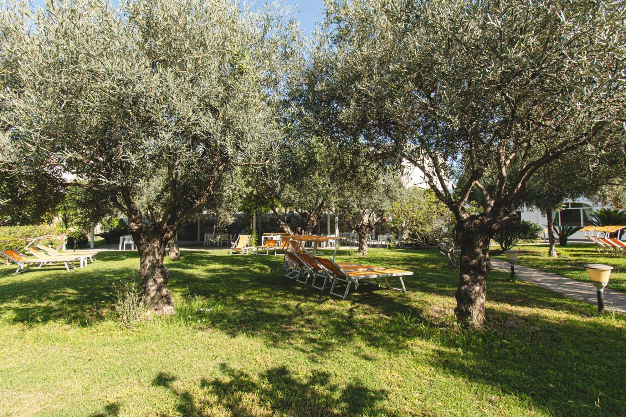 Hotel Park Victoria Forio di Ischia Dış mekan fotoğraf
